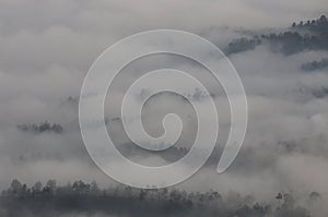 Clouds climbing the mountains at Kausani, India photo